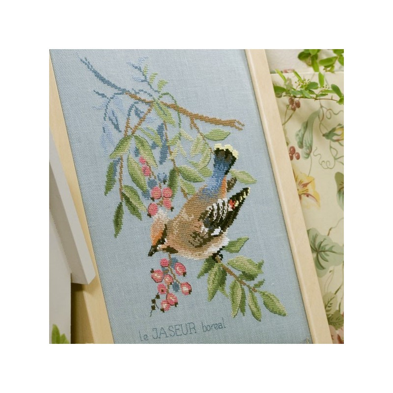 Lin : Étude au Jaseur