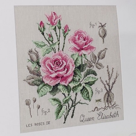 Linen rose study «Queen Elisabeth»(maxi-pattern)