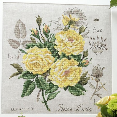Linen rose study «Reine Lucia» Maxi-Pattern