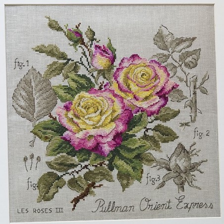 Linen rose study «Pullman Orient Express» Maxi-Pattern