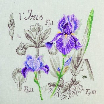 Linen : Iris Study (maxi-pattern)
