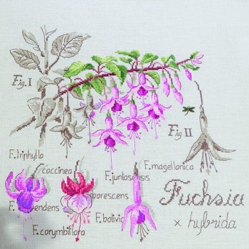 Lin : Étude au Fuchsia (maxi-grille) à broder au point de croix