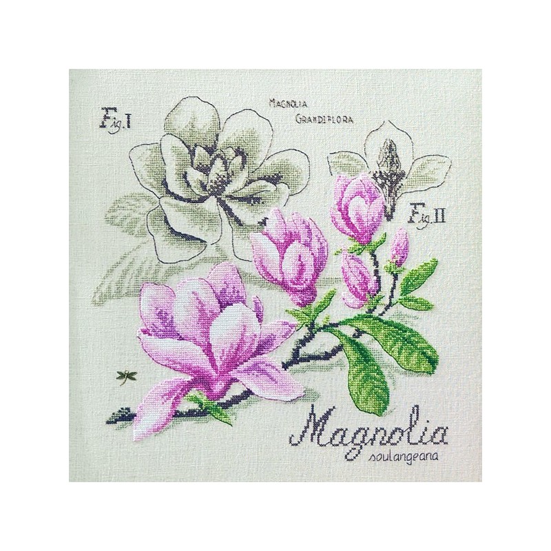 Lin : Étude au Magnolia (maxi-grille) à broder au point de croix