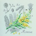 Lin : Étude au Mimosa (maxi-grille) à broder au point de croix