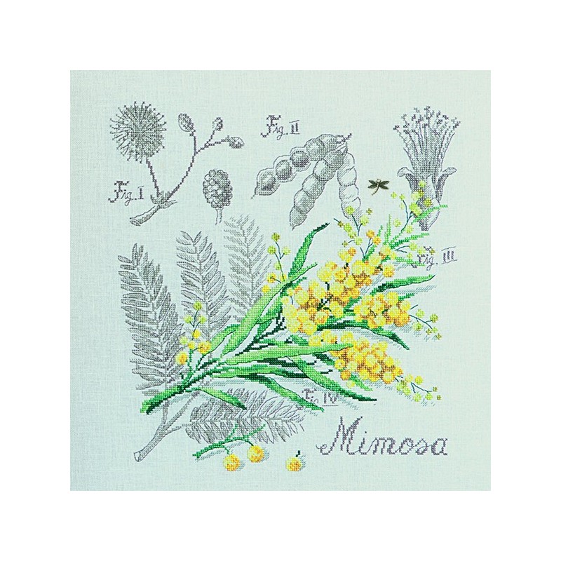 Aïda : Étude au Mimosa (maxi-grille) à broder au point de croix
