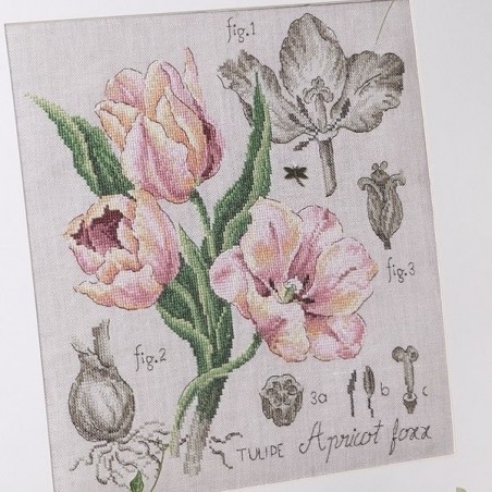 Aïda : Étude à la Tulipe (maxi-grille) à broder au point de croix