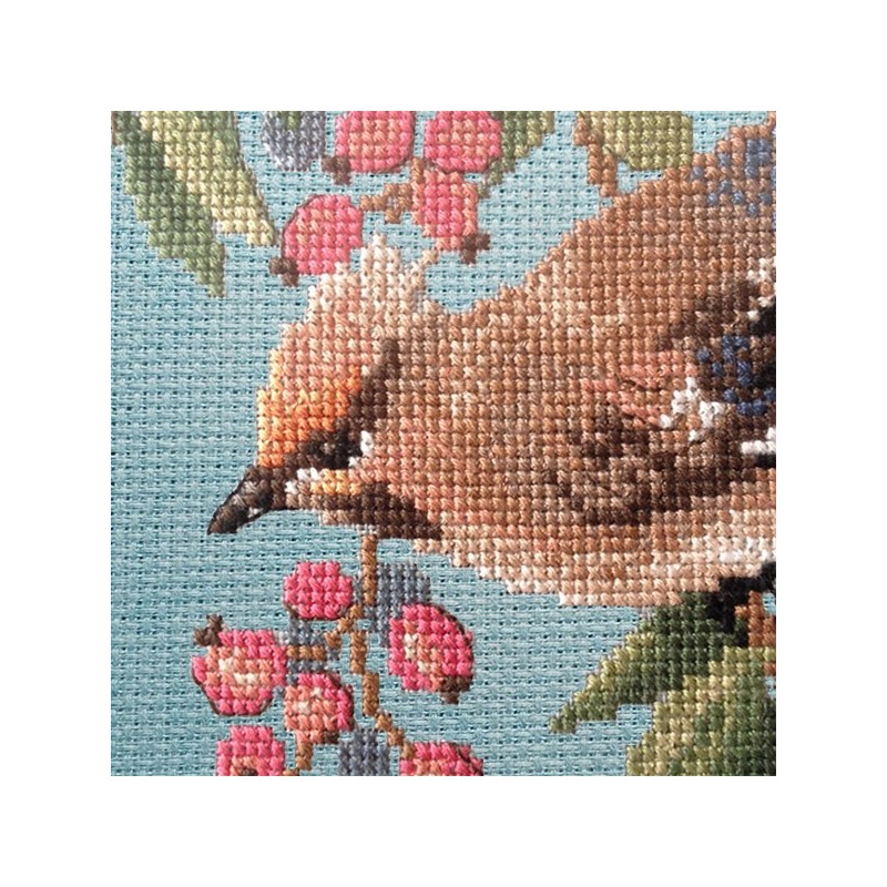 Aïda : Étude au Jaseur