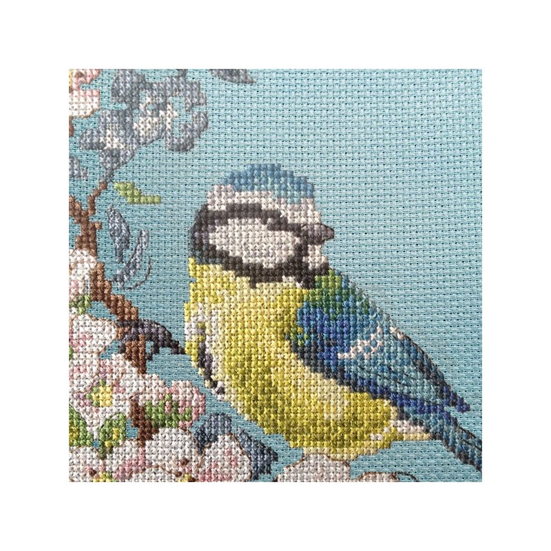 Aïda : Étude à la Mésange