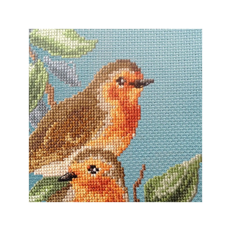 Aïda «Rouge-gorges» study