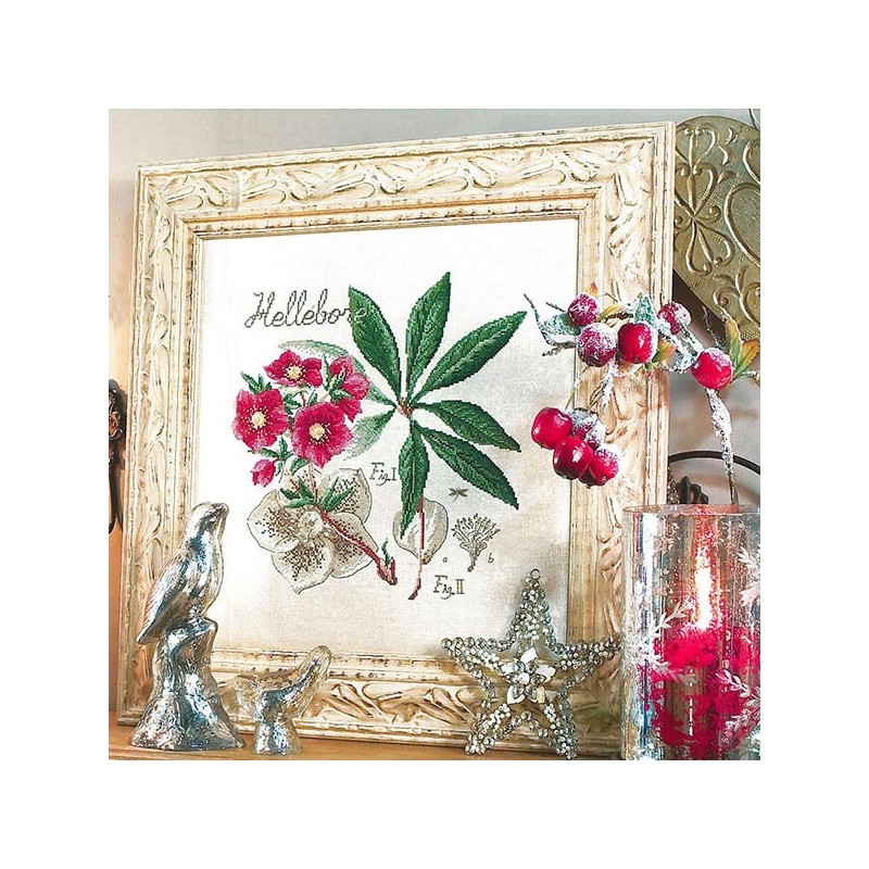 Aïda : Étude à l'Hellebore (maxi-grille) à broder au point de croix
