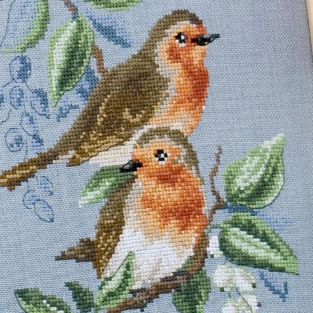 Linen « Robin » study