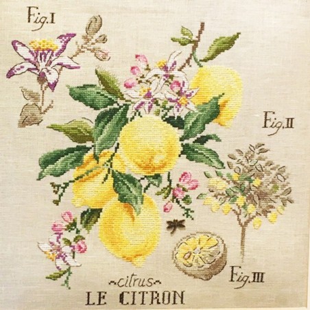 Linen « Lemon » Study (maxi pattern)