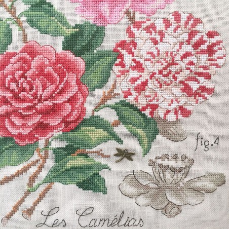 Linen : Camellias Study (maxi-pattern)