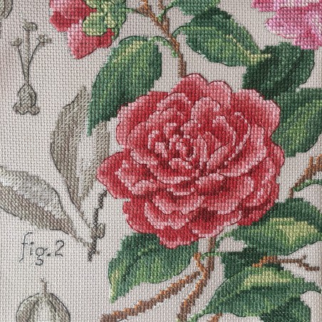 Aïda : Camellias Study (maxi-pattern)