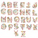 Christmas birds Alphabet Chart