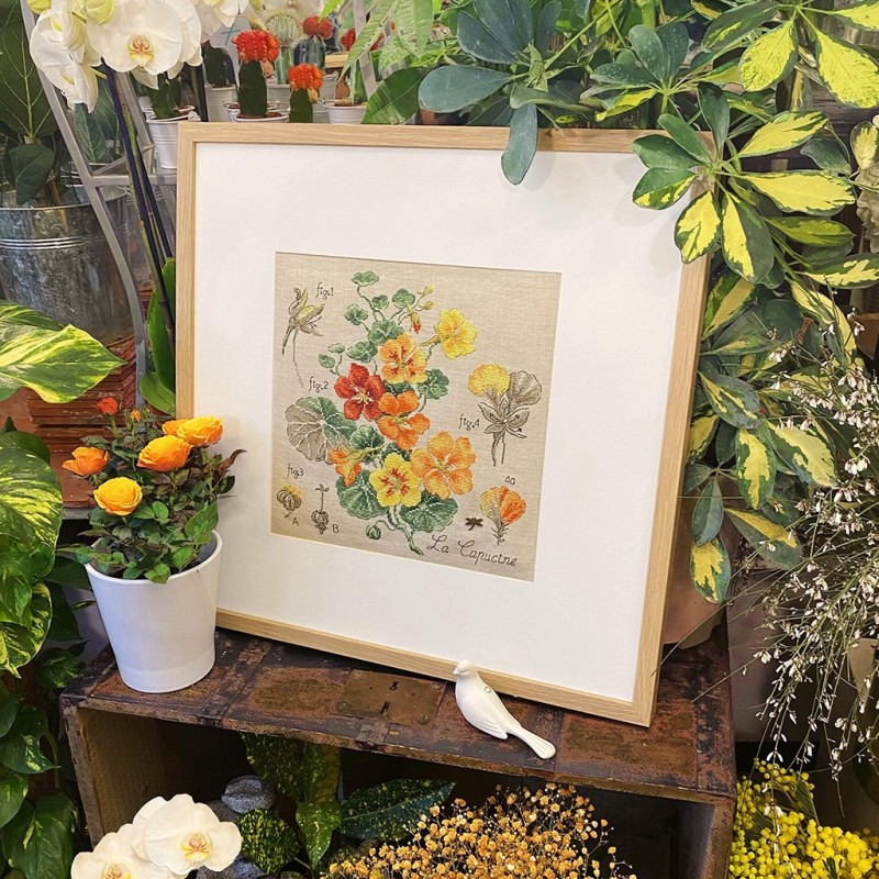 Linen : «Capucines» Study (maxi-pattern)