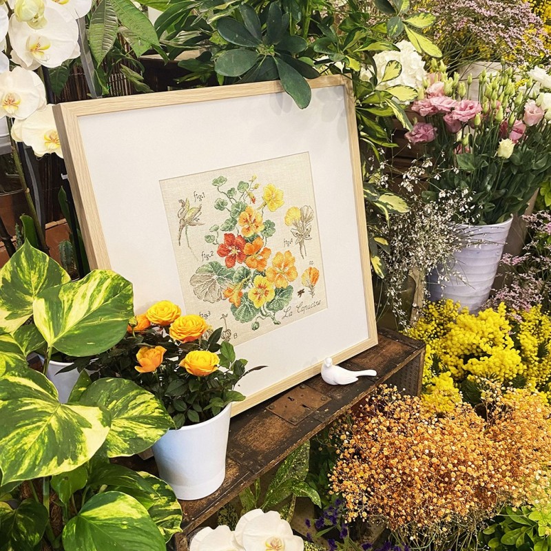 Lin : Étude aux Capucines (maxi-grille)