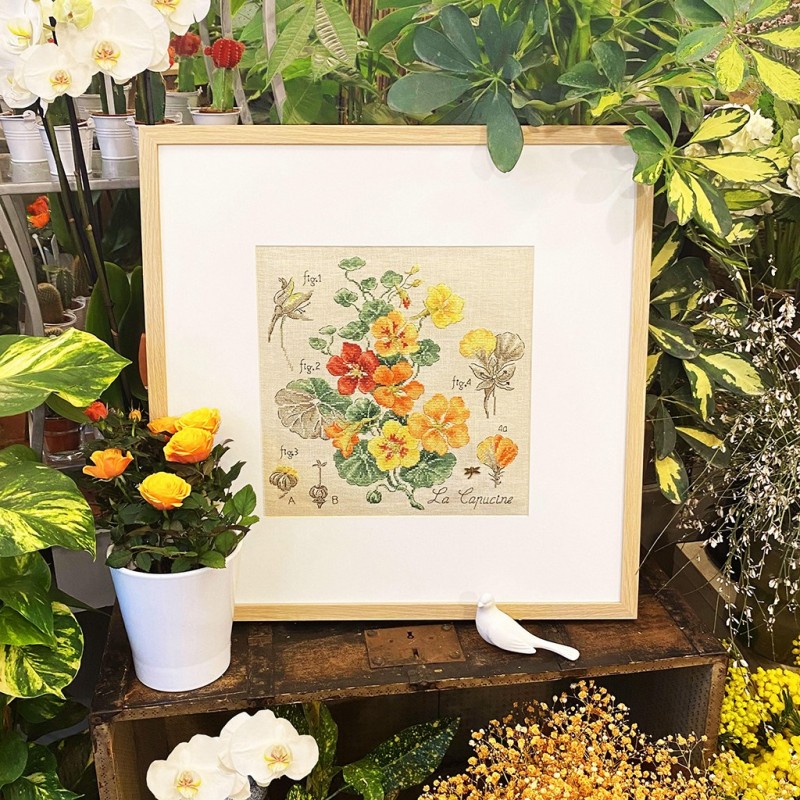 Aïda : «Capucines» Study (maxi-pattern)