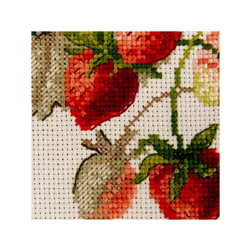 Aïda : Étude aux Fraises (maxi-grille)