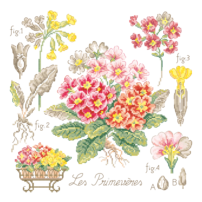 Lin : Étude aux Primevères (maxi-grille)