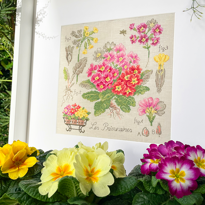 Linen : «Primevères» Study (maxi-pattern)