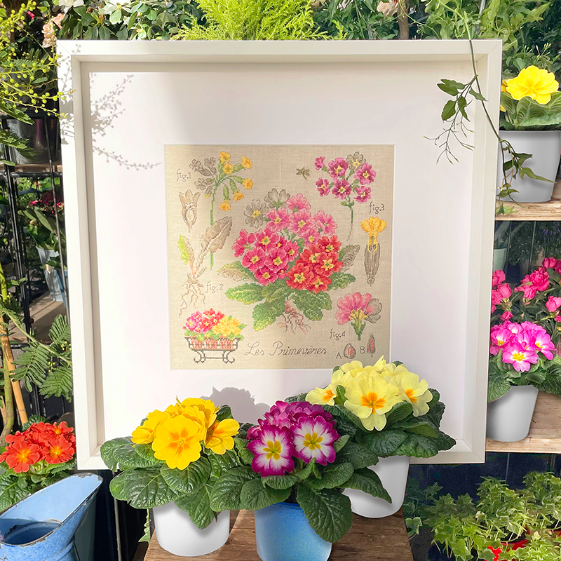 Linen : «Primevères» Study (maxi-pattern)