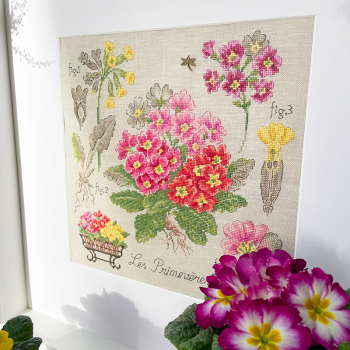 Aïda : Étude aux Primevères (maxi-grille)