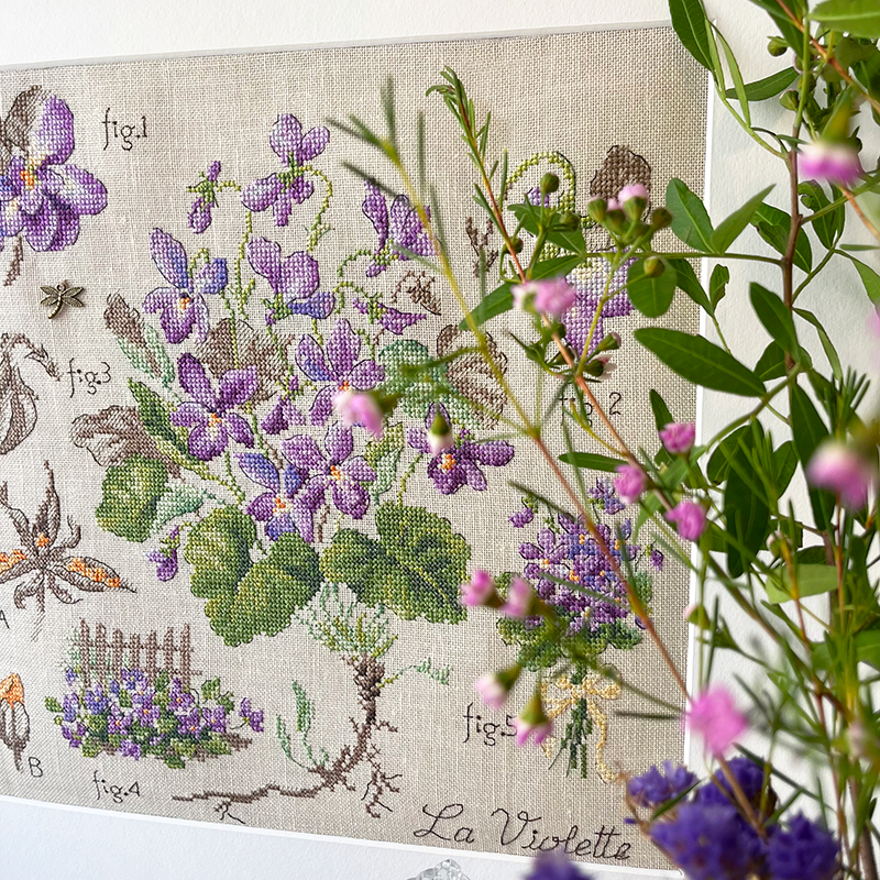 Lin : Étude à la Violette (maxi-grille)