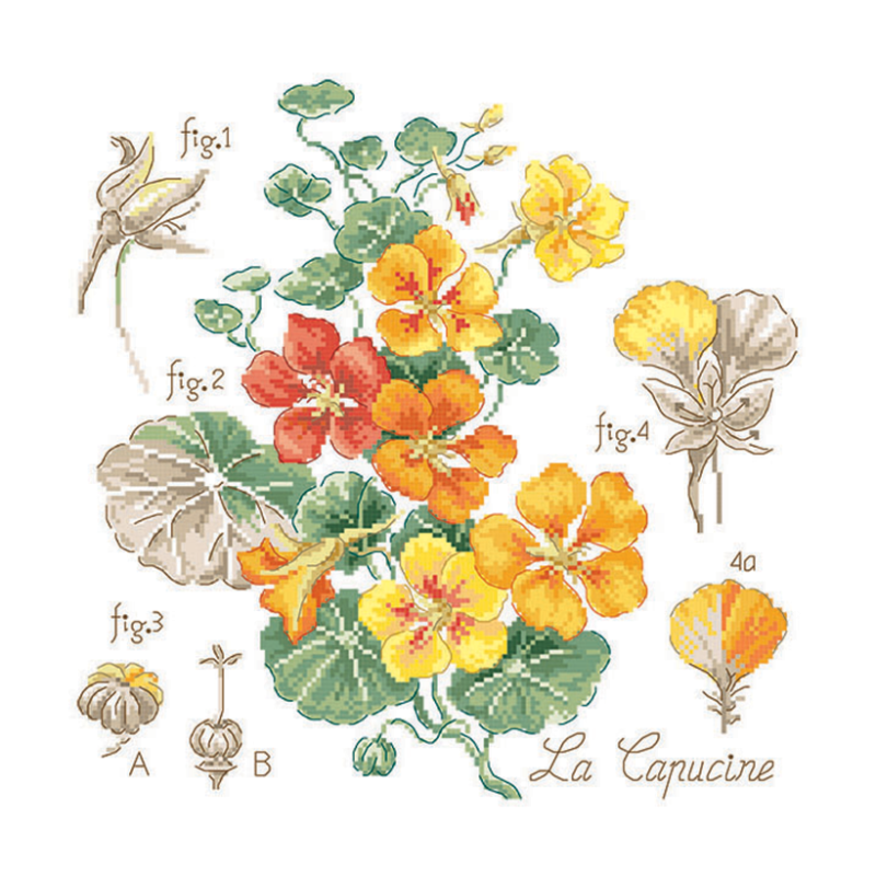 Aïda : Étude aux Capucines (maxi-grille)