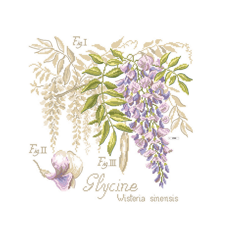 Linen : «Glycine» Study (maxi-pattern)