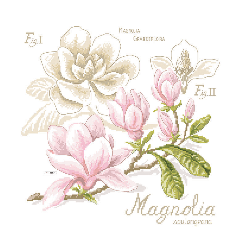Lin : Étude au Magnolia (maxi-grille)