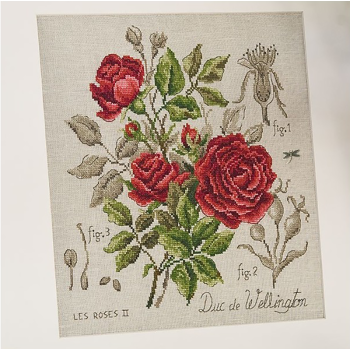 Lin : Étude à la rose « Duc de Wellington » (maxi-grille)