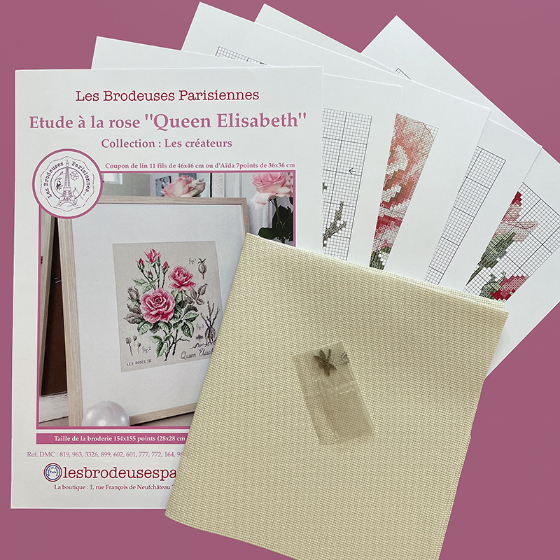 Aïda rose study «Queen Elisabeth» (Maxi Pattern)