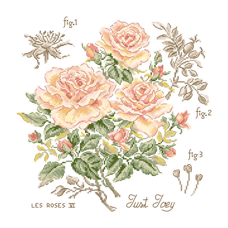 Aïda rose study «Just Joey» (Maxi Pattern)