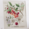 Lin : Étude aux Cerises (maxi-grille) Lin : Étude aux Cerises (maxi-grille)