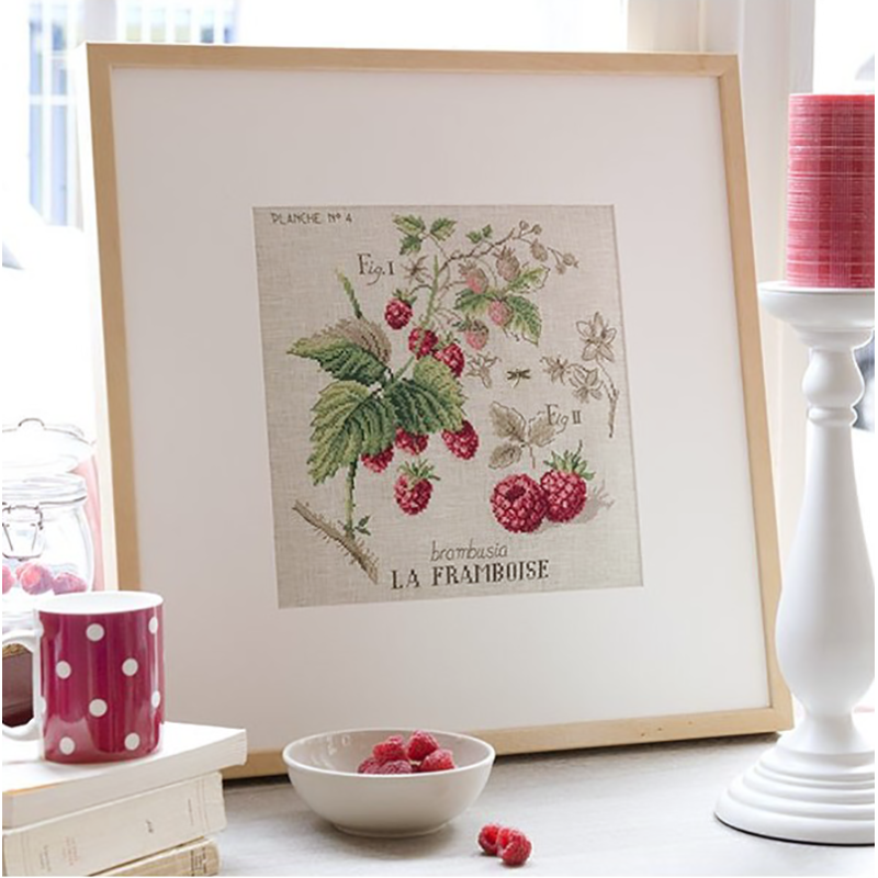 Lin : Étude aux Framboises (maxi-grille)