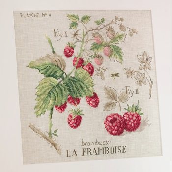 Linen «Framboises» study (maxi pattern)