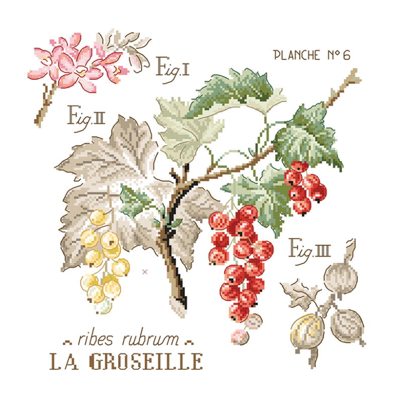 Lin : Étude aux Groseilles (maxi-grille)