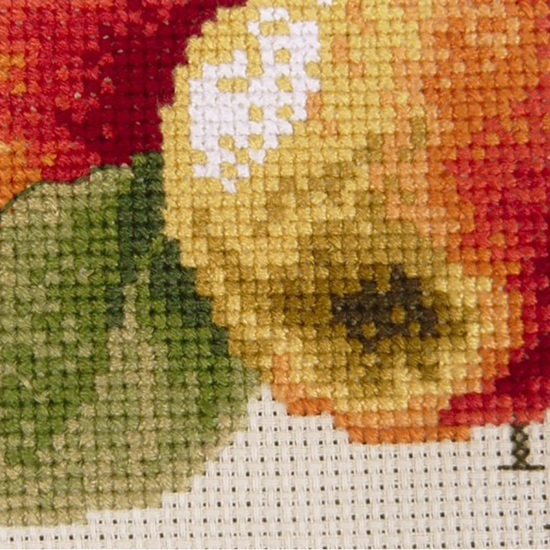 Aïda : Étude aux Pommes (maxi-grille)