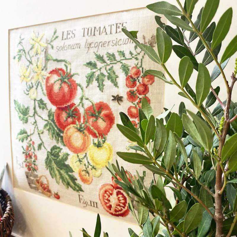 Aïda : Étude aux Tomates (maxi-grille)