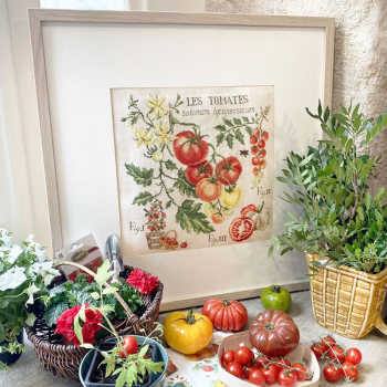 Lin : Étude aux Tomates (maxi-grille)