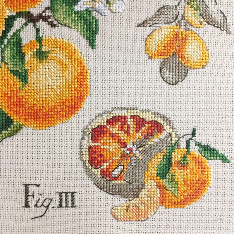 Aïda «Agrumes» Study (Maxi pattern)