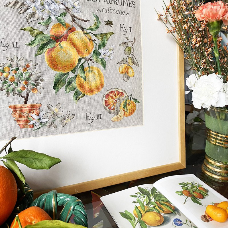 Lin : Étude aux Agrumes (maxi-grille)