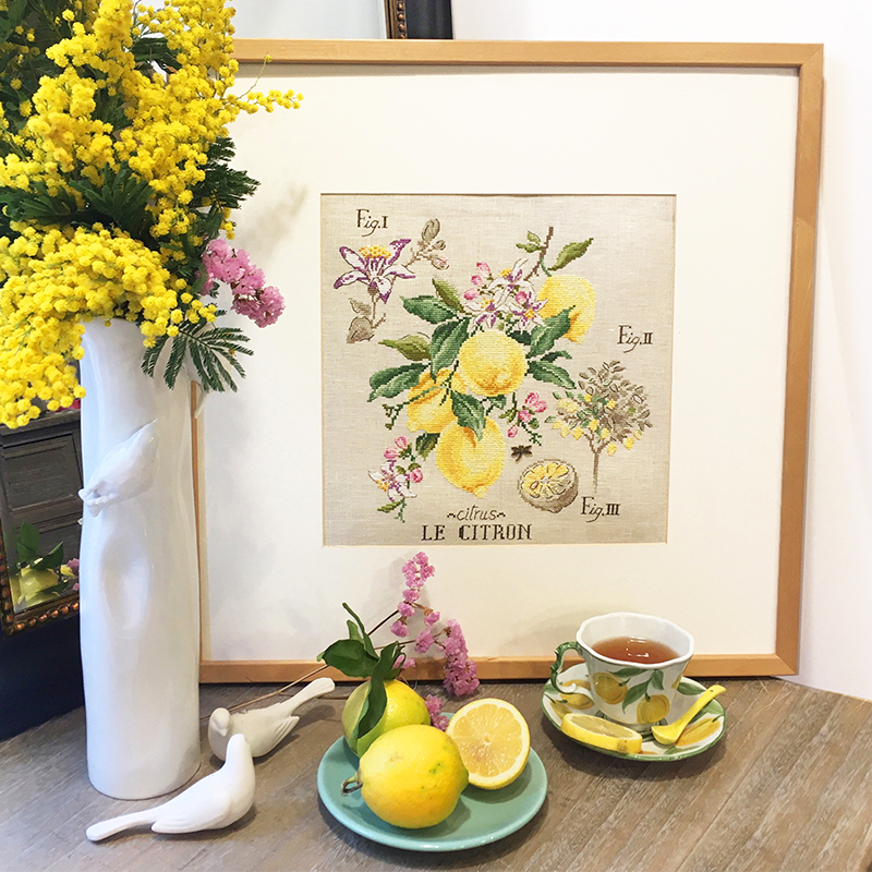 Aïda «Citrons» Study (Maxi pattern)