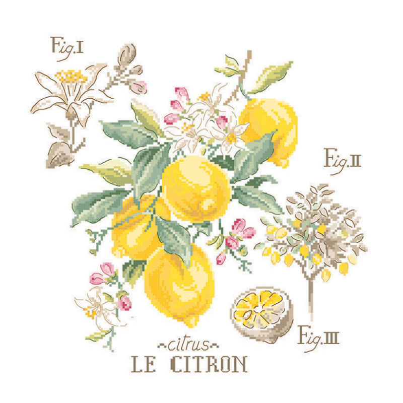 Lin : Étude aux Citrons (maxi-grille)