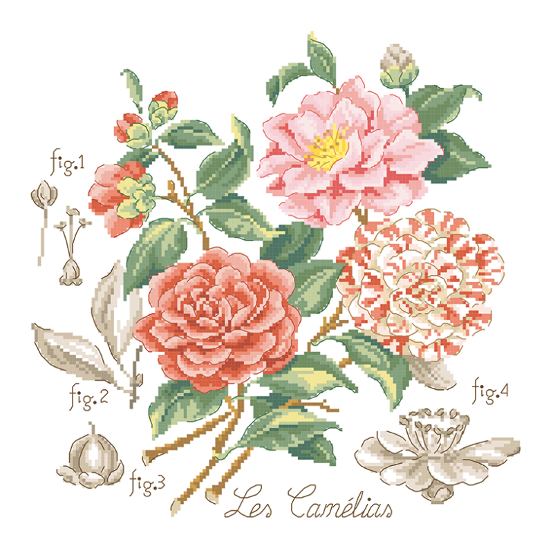 Linen : «Camélias» Study (maxi-pattern)