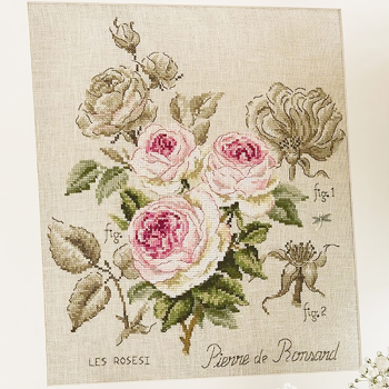 Lin : Étude à la rose «Pierre de Ronsard» (maxi-grille)