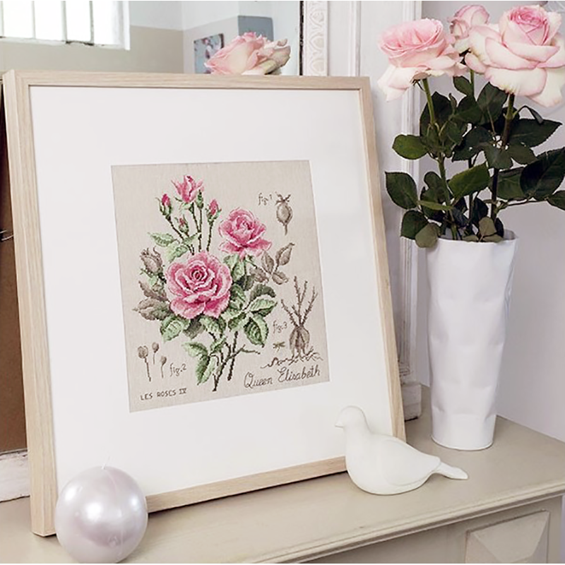 Aïda rose study «Queen Elisabeth» (Maxi Pattern)