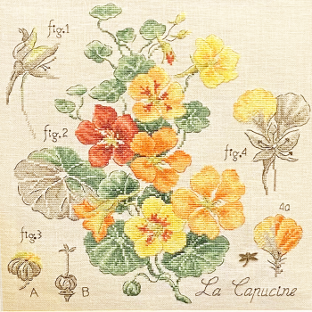 Aïda : Étude aux Capucines (maxi-grille)