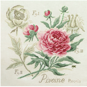 洋書 L'herbier du jardin au point de croix 121 - Veronique Enginger. L'Herbier du jardin au point de